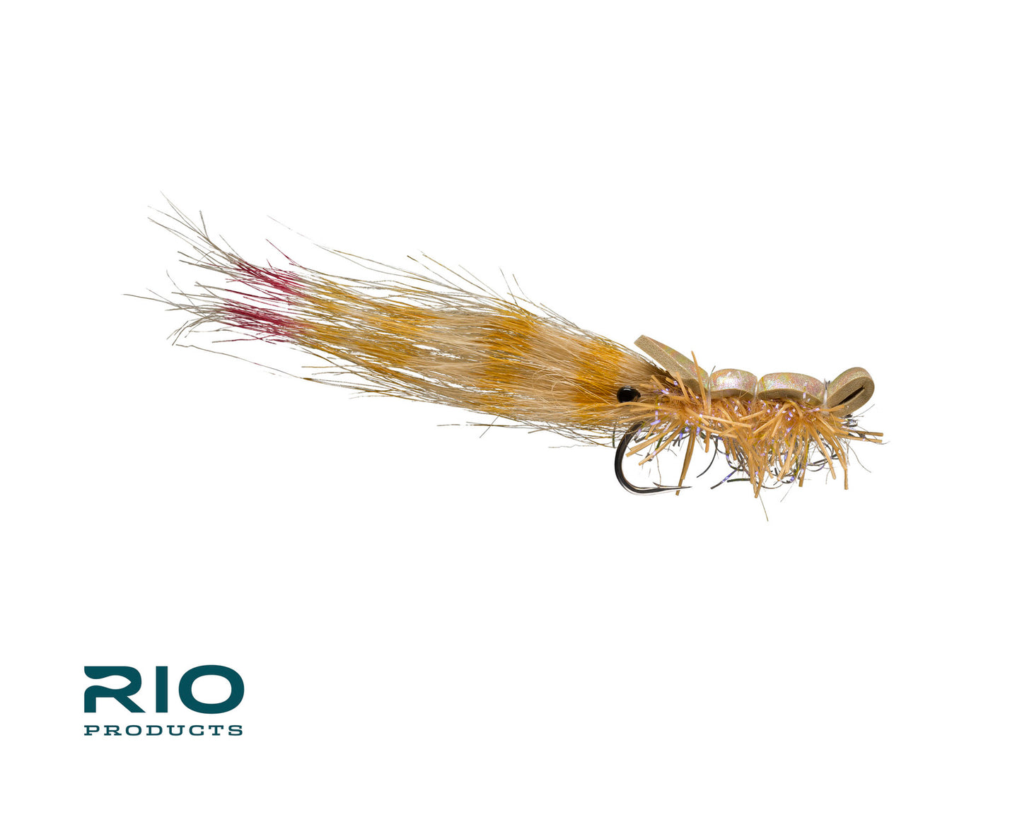 RIO's Guido Shrimp