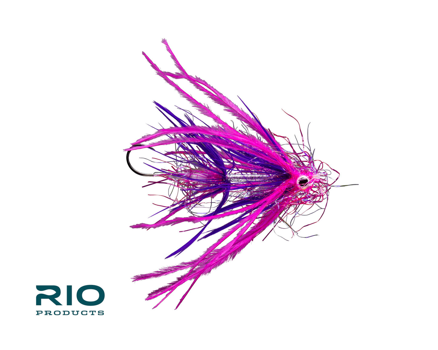 Rio's Animal