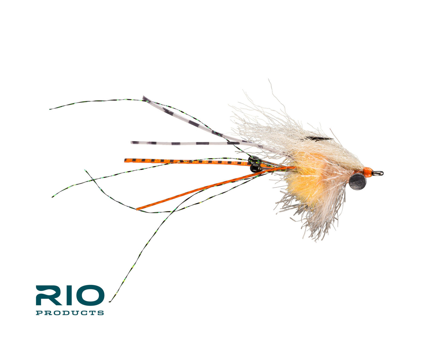Rio's Carpet Shrimp