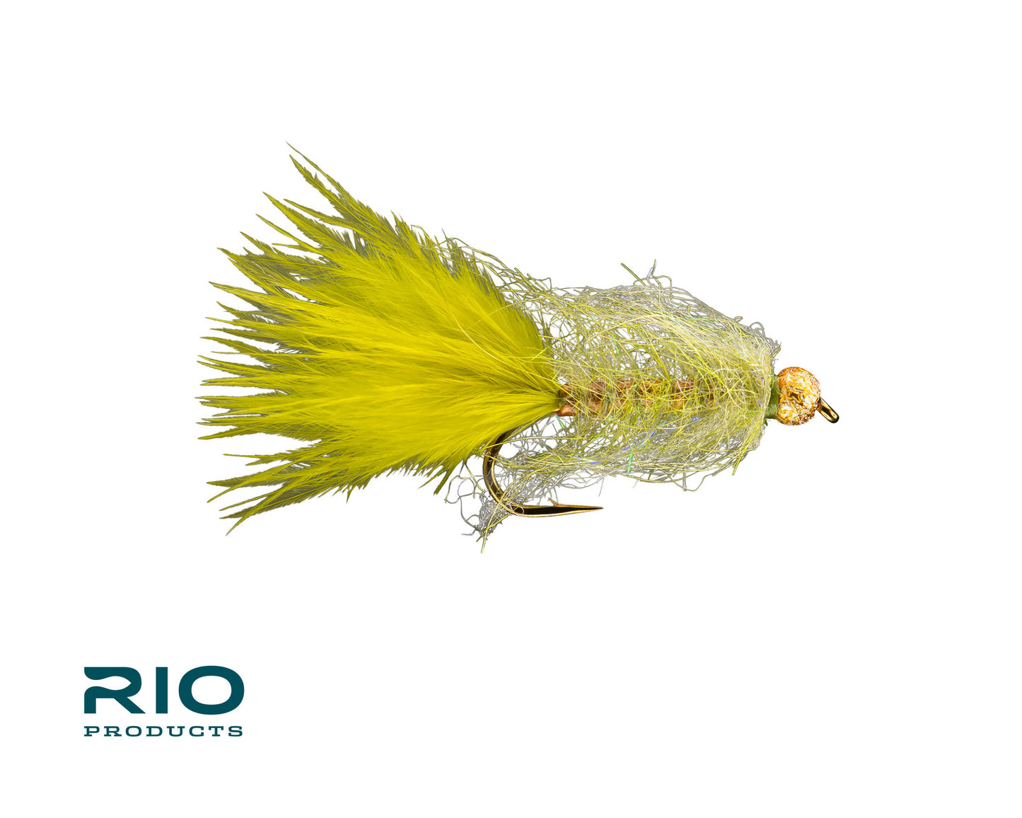 Rio's Jelly Leech