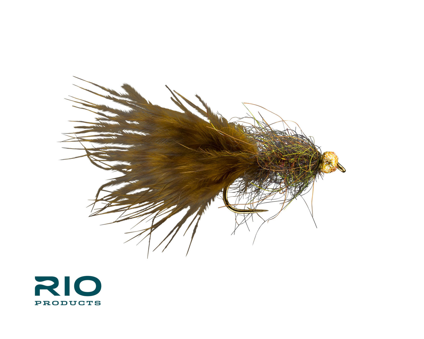 Rio's Jelly Leech