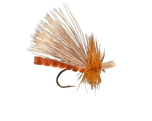 Morrish's October Caddis Adult