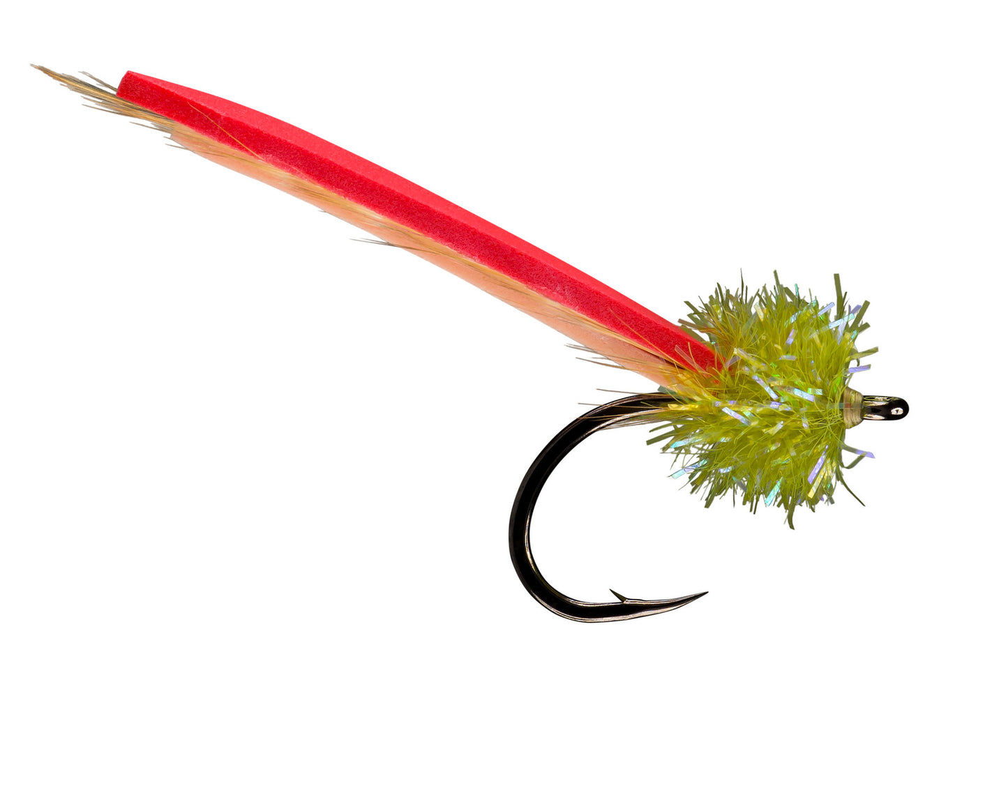Rio's Palolo Worm