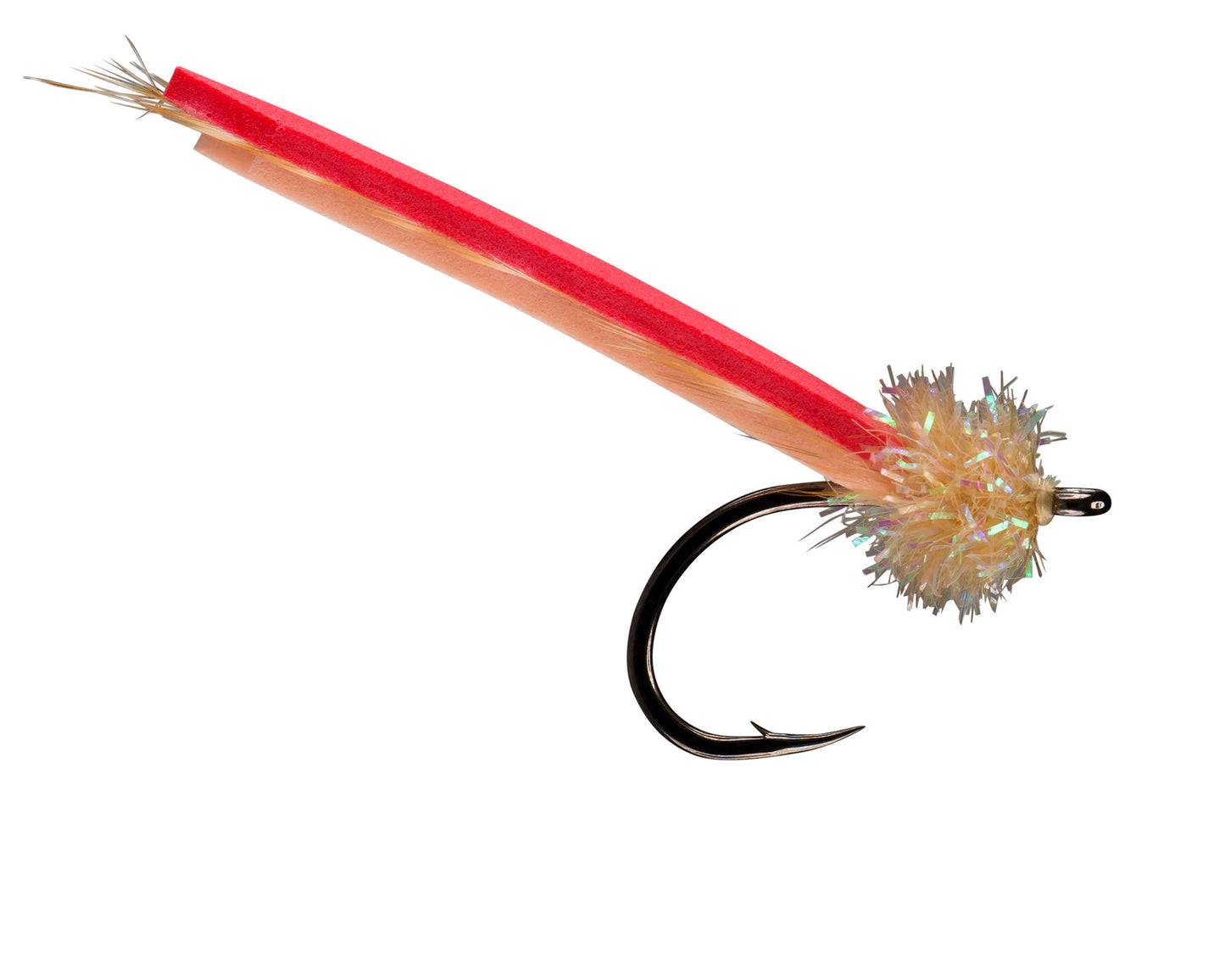 Rio's Palolo Worm