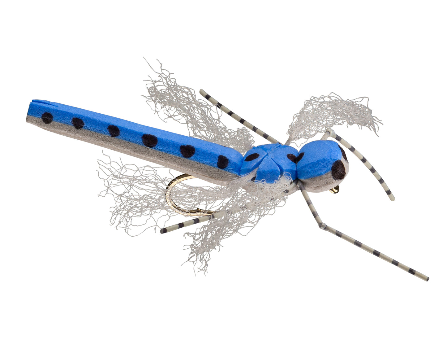 RIO's Morrish Dragon