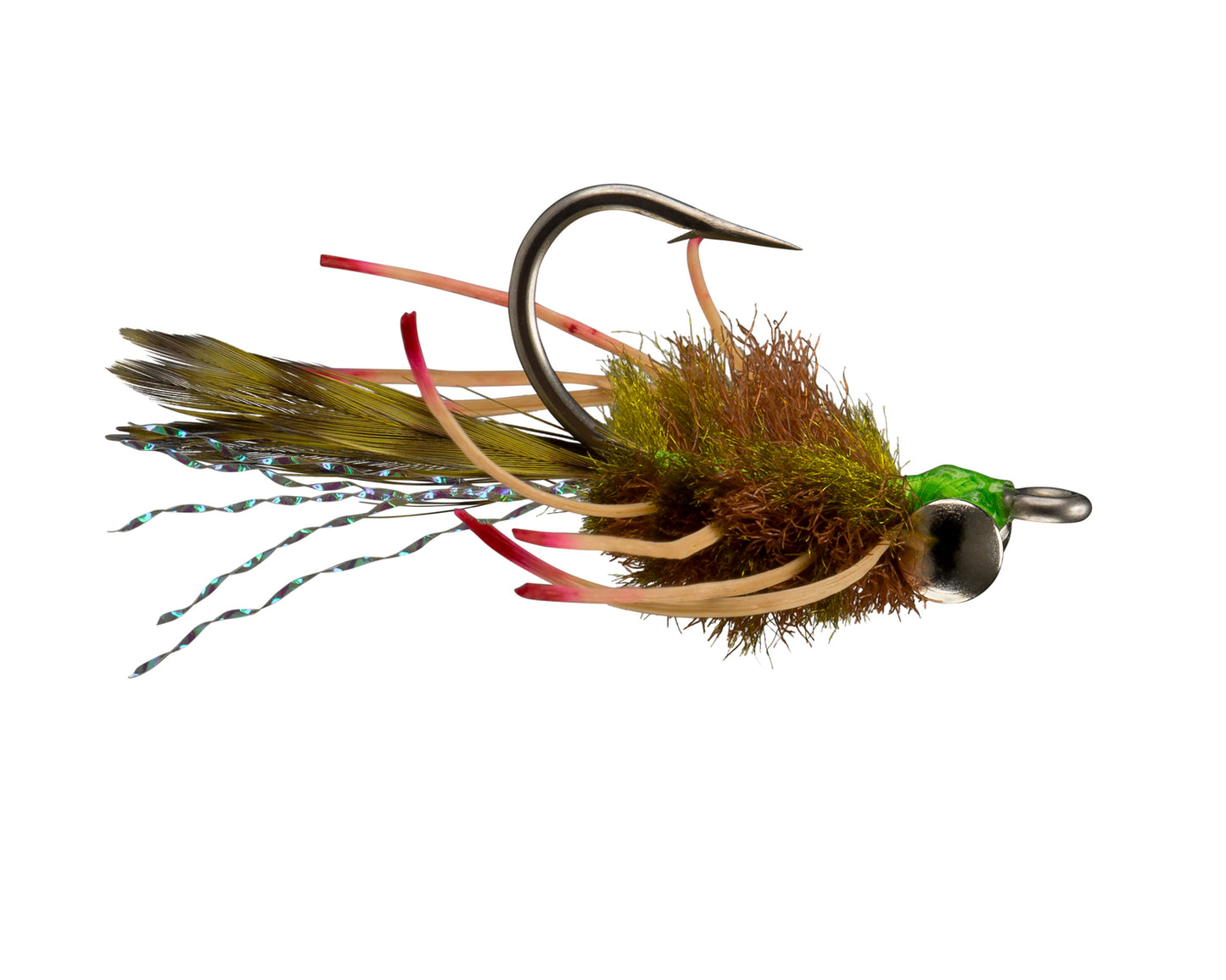 Permit Crab
