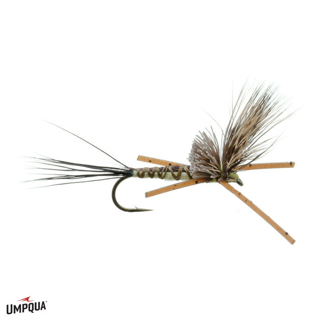 Brown Drake - Nealley