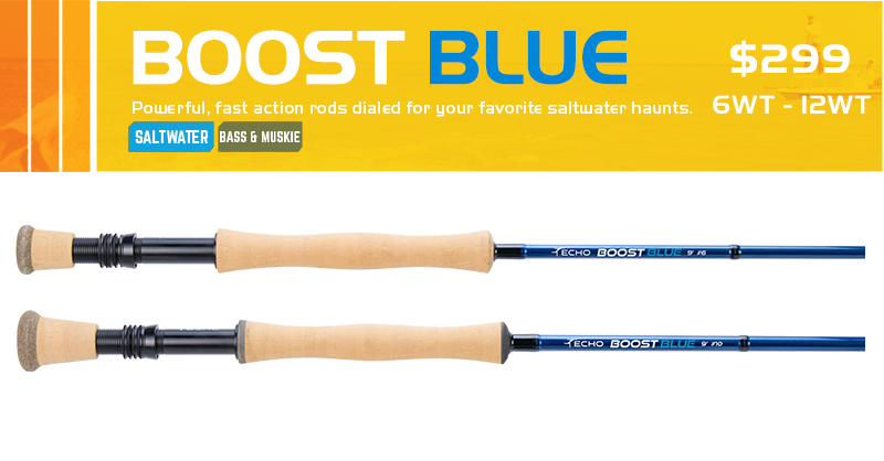 Echo Boost Blue