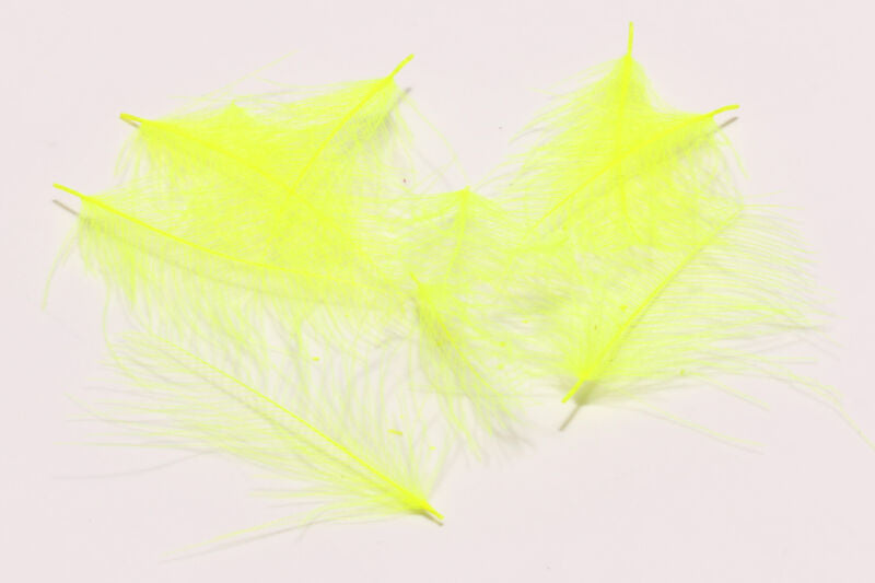 Cul De Canard Feathers