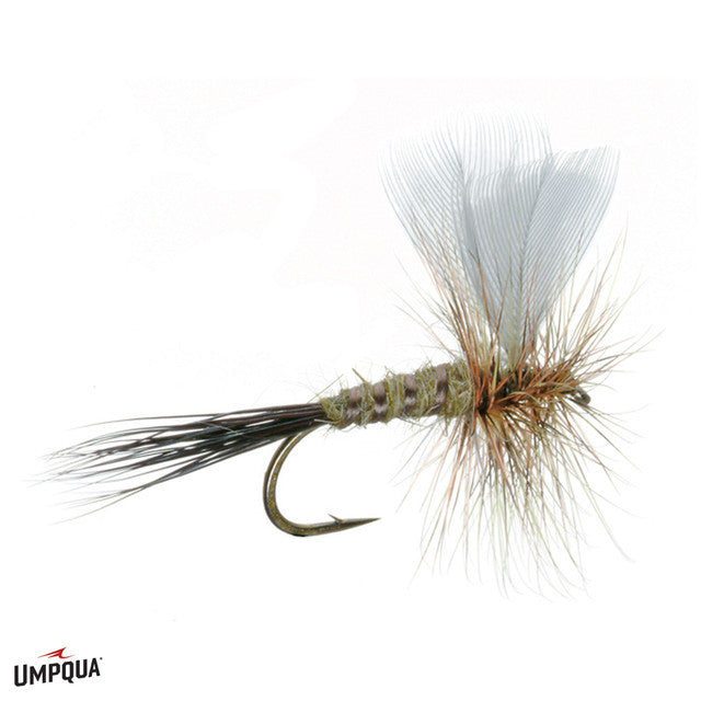 Colorado Green Drake, Size 12