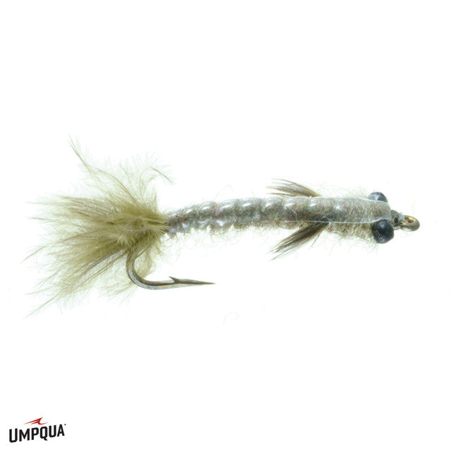 Damsel Nymph, Barr