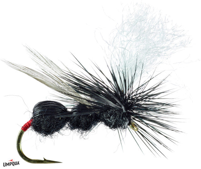 Deer Hair Ant