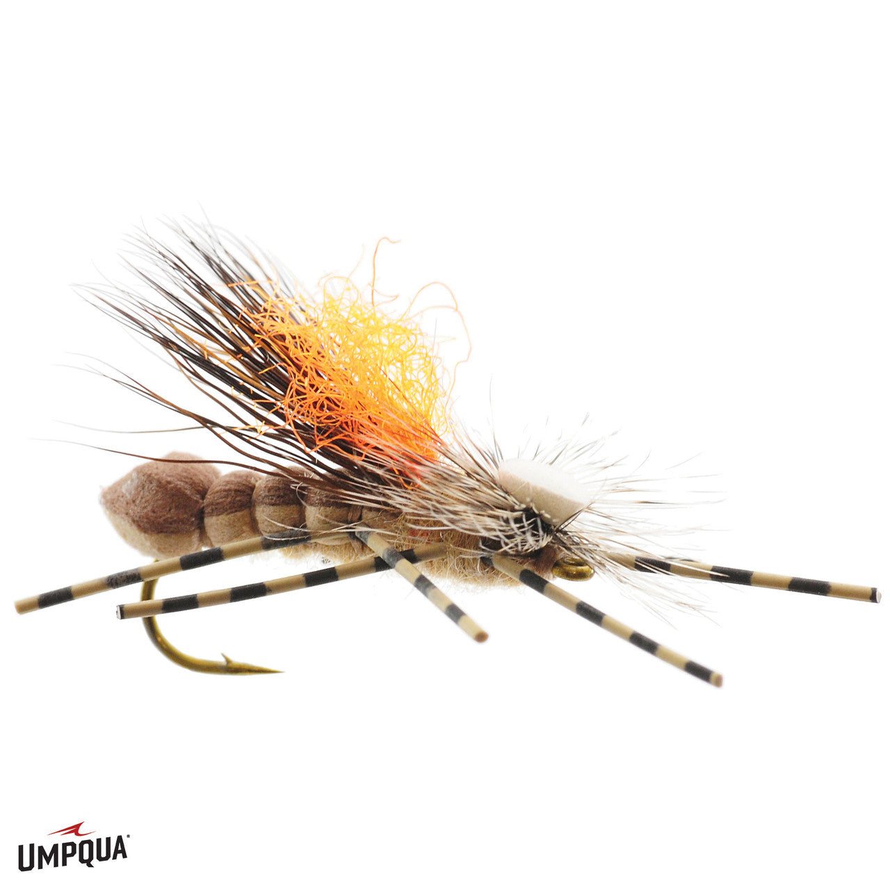 Double Dutch Bug