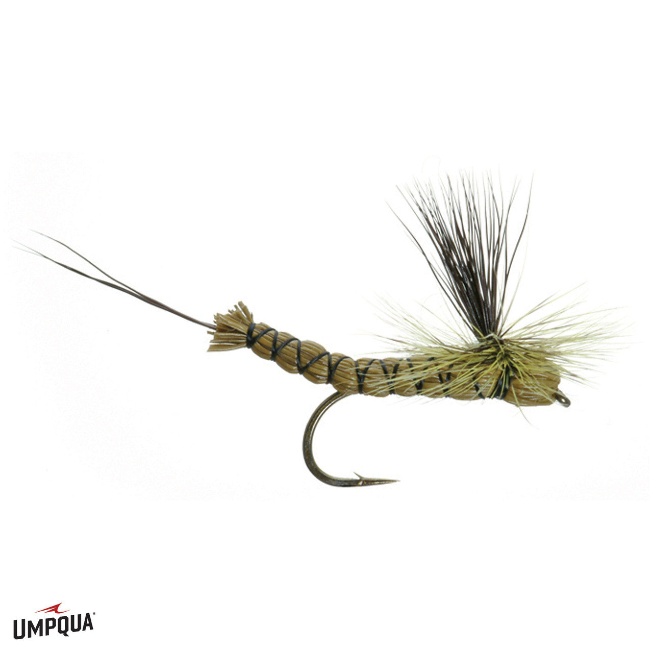 Green Drake Paradrake