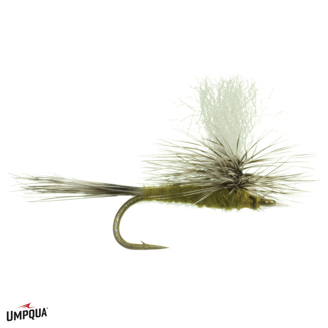 Gulper Special