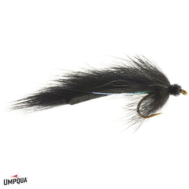 Pine Squirrel Leech