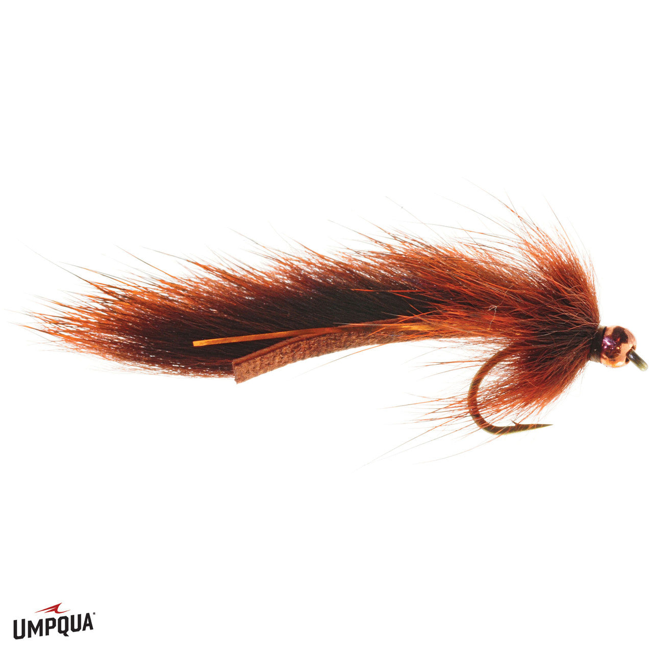 Pine Squirrel Leech