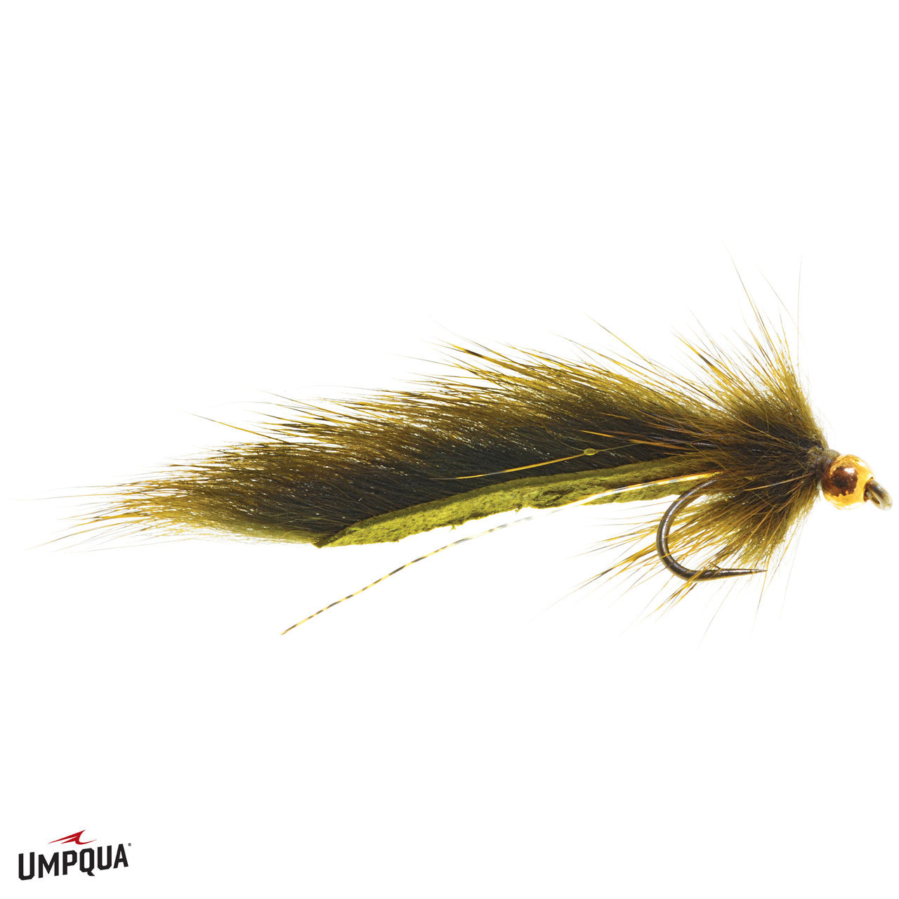 Pine Squirrel Leech