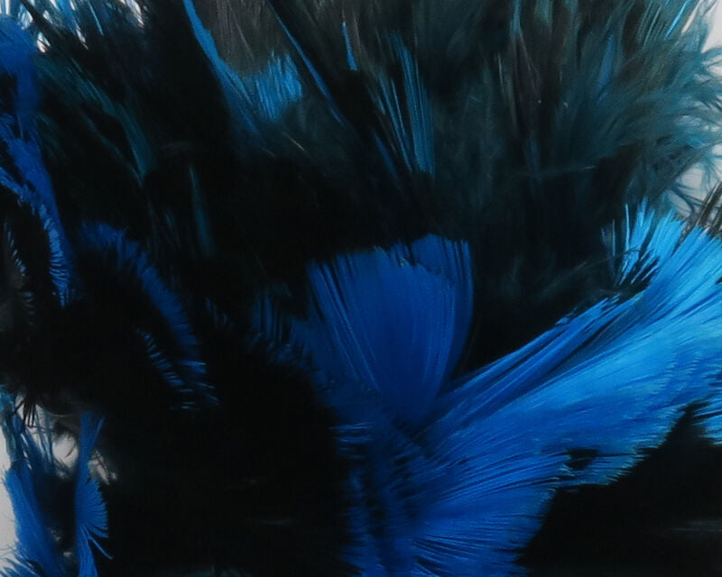 Ringneck Pheasant Neck