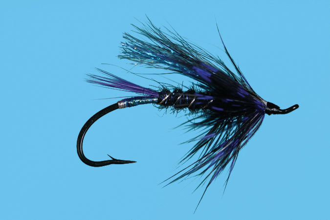 Bennett's Last Light, Size 5