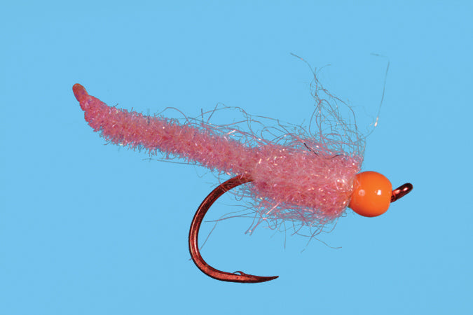 Egg Larva, #2