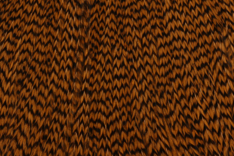 Keough's Tyer's Grade Cape