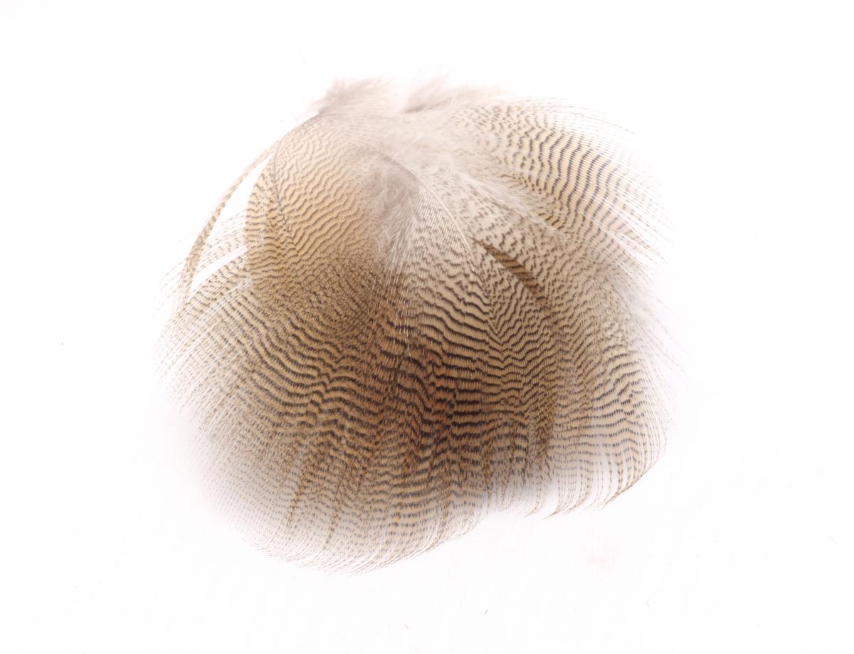 Lemon Wood Duck Feathers
