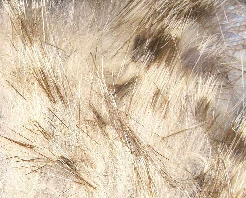 Brown Barred Rabbit Strip