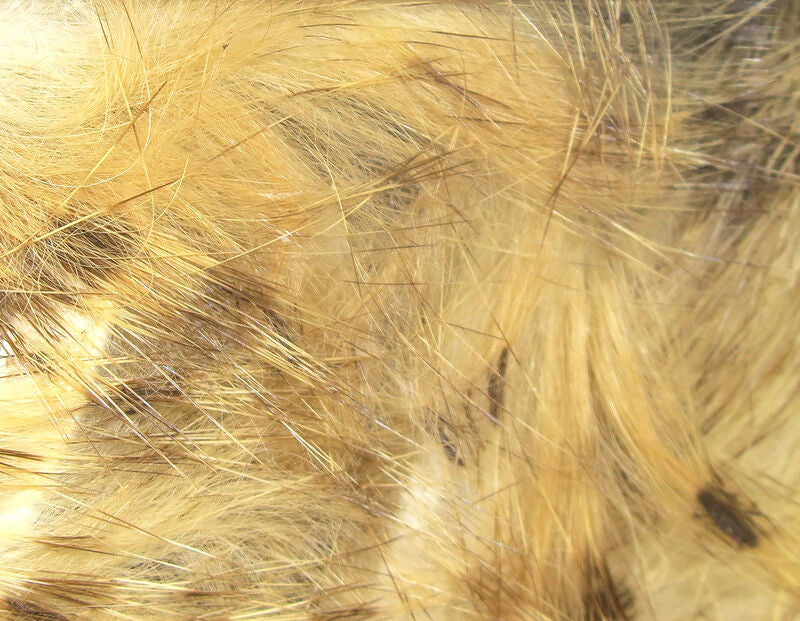 Brown Barred Rabbit Strip