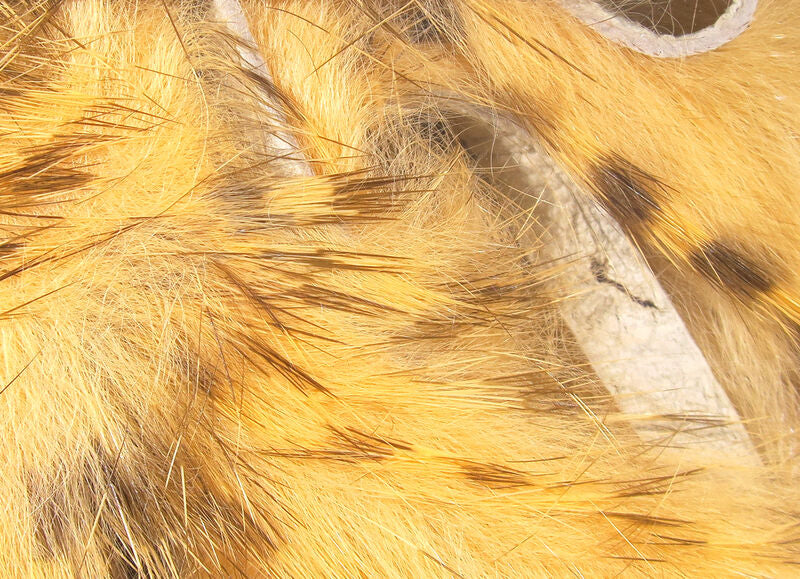 Brown Barred Rabbit Strip