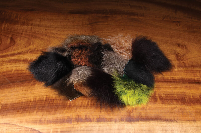 Ozzie Possum