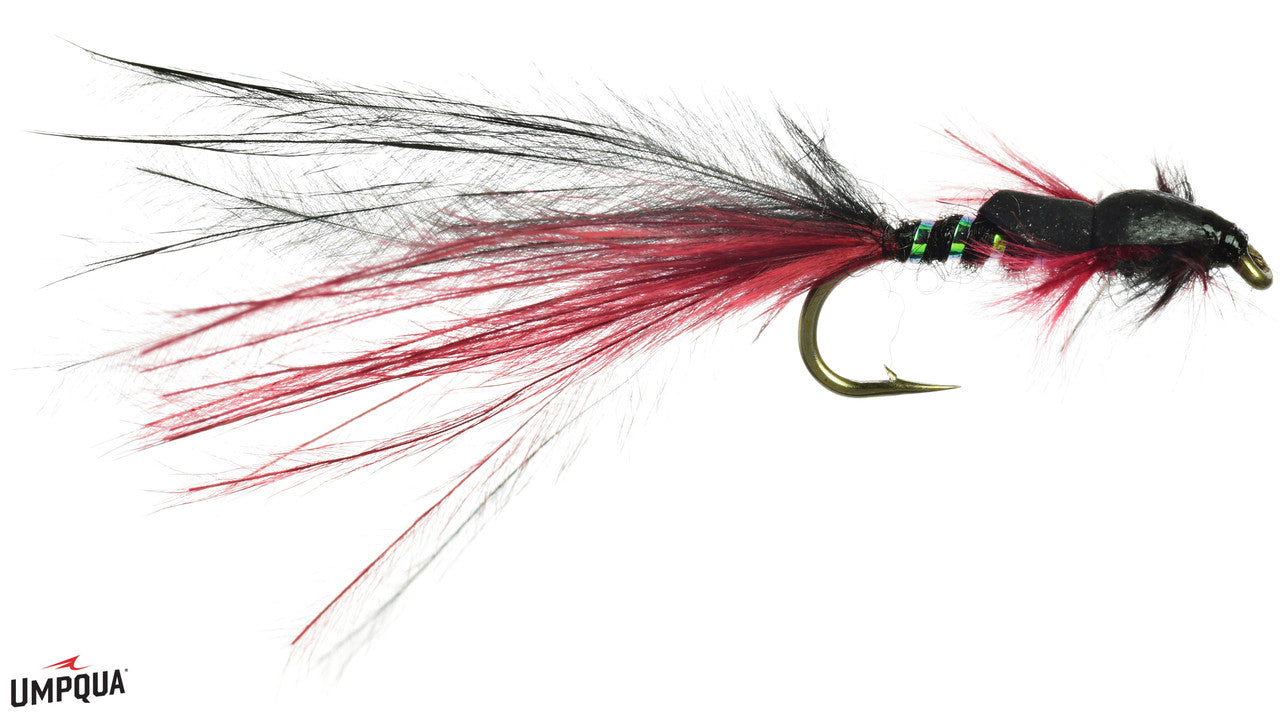 Zack Attack Damsel
