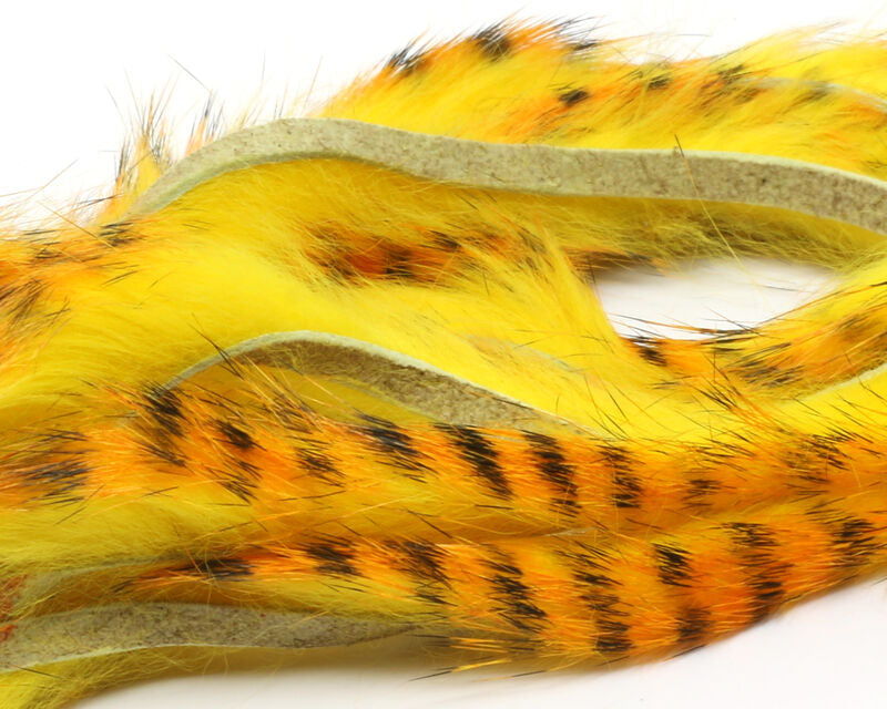 Barred Polychrome Rabbit Strips