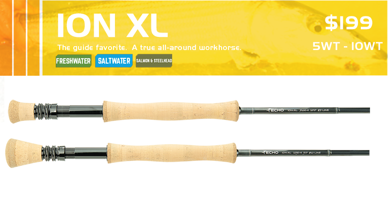 Echo Ion XL