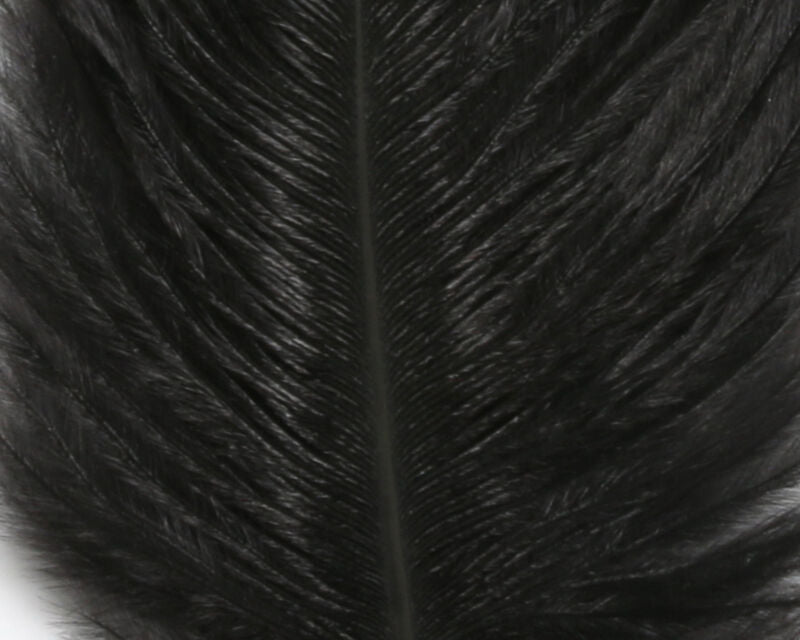 Ostrich Marabou