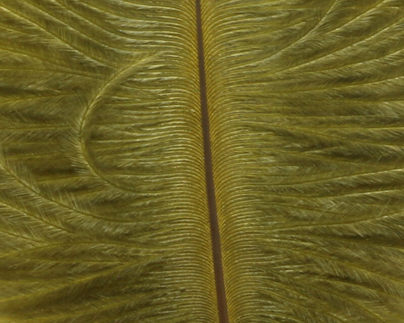 Ostrich Marabou