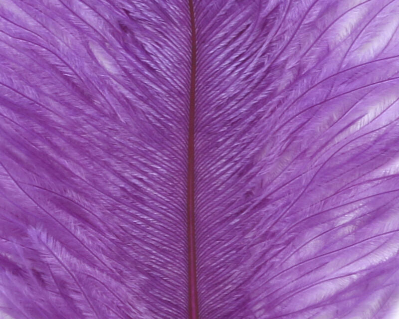 Ostrich Marabou