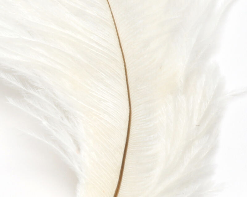 Ostrich Marabou