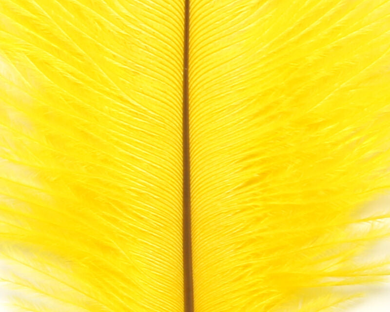 Ostrich Marabou