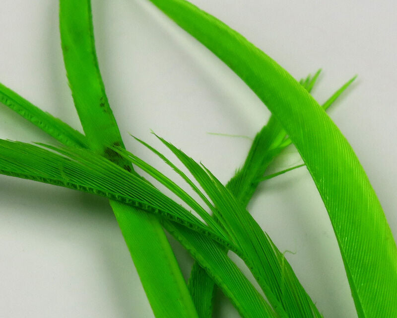 Stripped Goose Biots