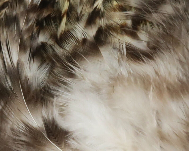 Strung 4-6" Grizzly Variant Saddle Hackle