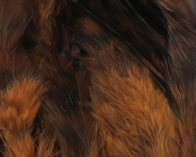 Strung 4-6" Grizzly Variant Saddle Hackle