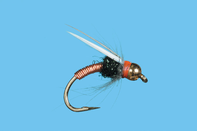 Copper Swan