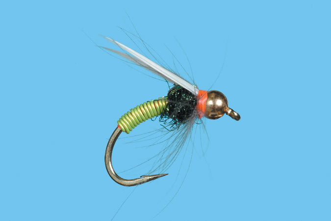 Copper Swan