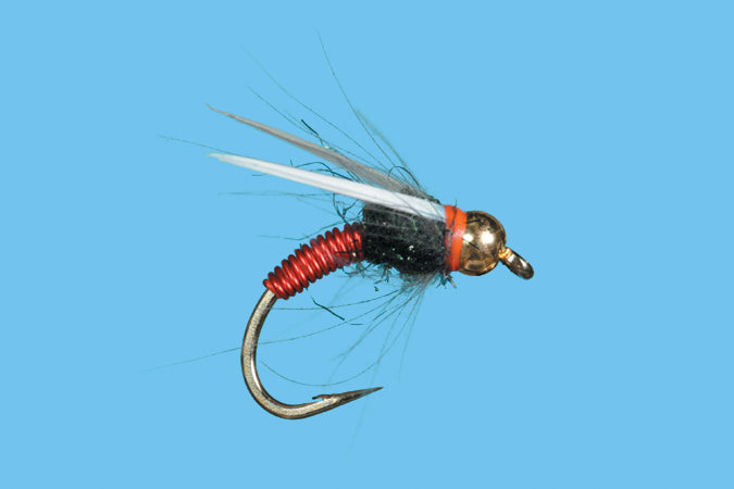 Copper Swan