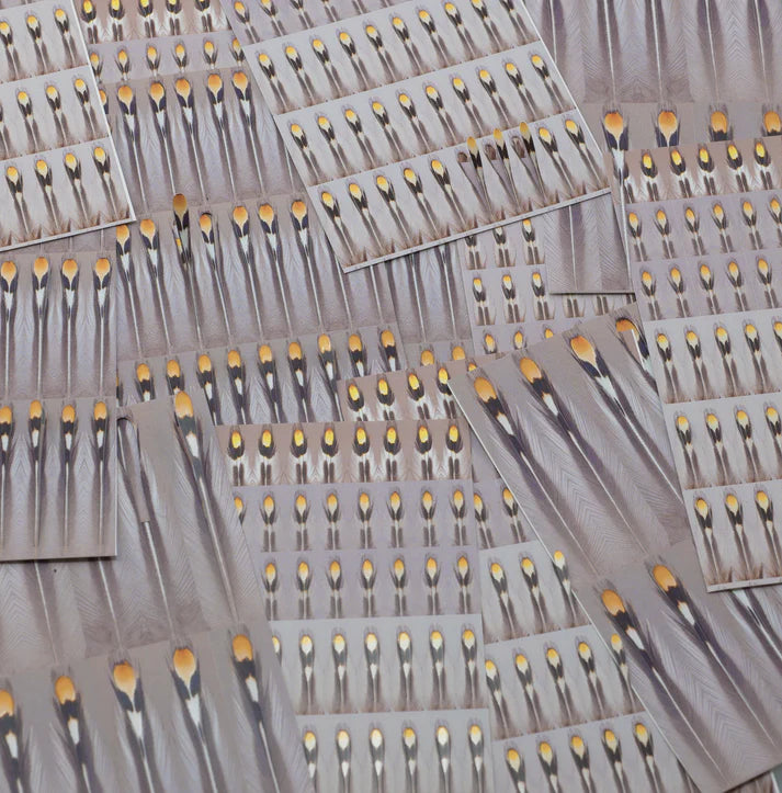 Aqua flies Un-Real Jungle Cock