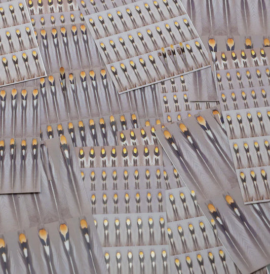 Aqua flies Un-Real Jungle Cock