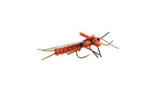 Beefcake Stone - Orange - Size 6