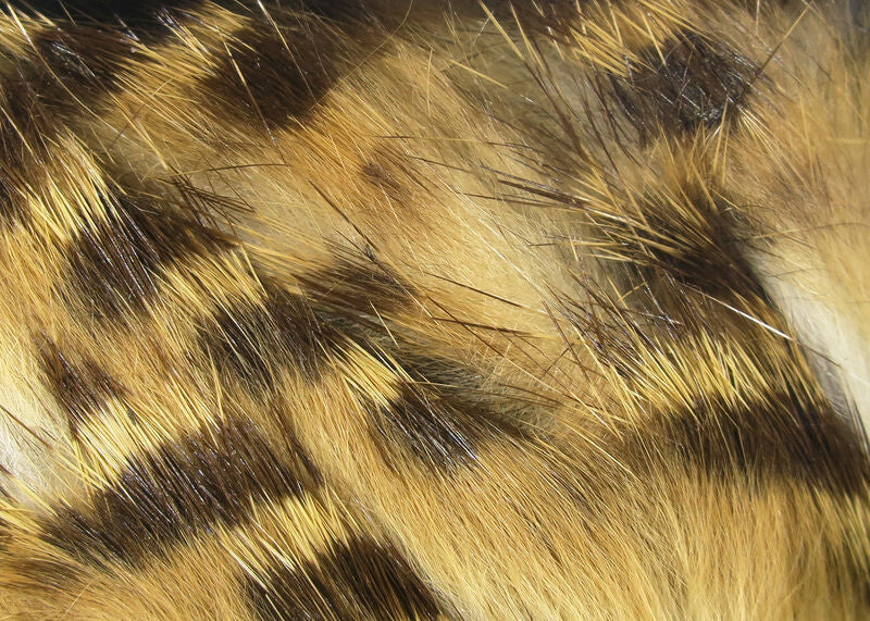 Brown Barred Magnum Rabbit Strip