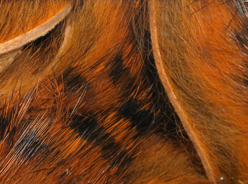 Black Barred Magnum Rabbit Strip